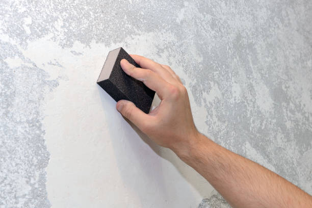 Best Industrial Mold Remediation  in Murphysboro, IL