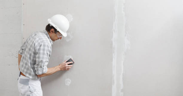 Best Airborne Mold Testing  in Murphysboro, IL