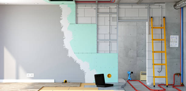 Best Dehumidification Services  in Murphysboro, IL