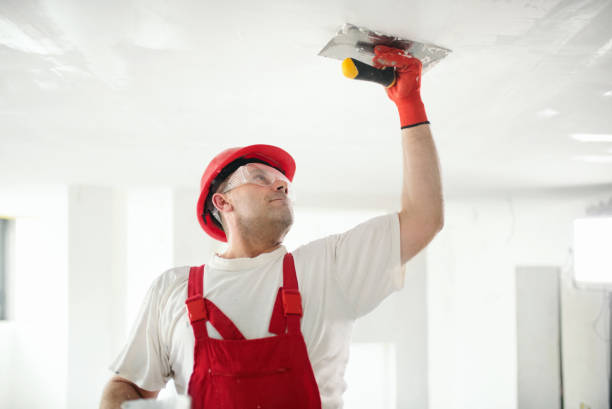Best Black Mold Removal  in Murphysboro, IL
