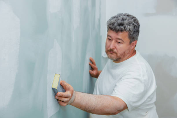Best Crawl Space Mold Remediation  in Murphysboro, IL