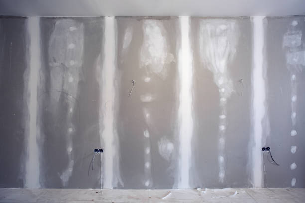 Best Post-Construction Mold Inspection  in Murphysboro, IL